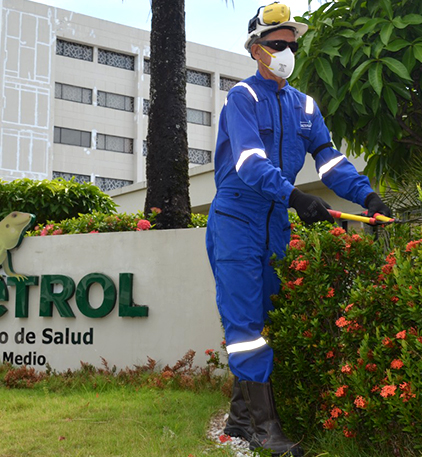 Rocería, Poda de Árboles y Reforestación